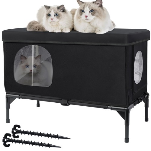 Day large outdoor cat - large,